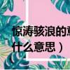 驚濤駭浪的意思是什么?（驚濤駭浪的駭字是什么意思）