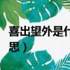 喜出望外是什么詞性的詞（喜出望外是什么意思）