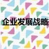 企業發展戰略規劃方案（企業發展戰略規劃）