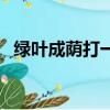 綠葉成蔭打一個生肖（綠葉成蔭打一生肖）
