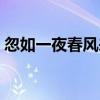 忽如一夜春風來（千樹萬樹梨花開意思是什）