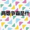 兩雄爭霸是什么生肖（兩雄爭霸是什么生肖）