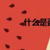 什么是西米谷（什么是西米客?）