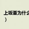 上坂堇為什么這么出名（上坂堇為什么叫政委）