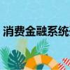 消費金融系統開發商（消費金融系統開發商）