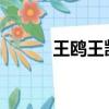 王鷗王凱真人照片（wow星雅）