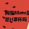 胸圍88cm是什么罩杯（胸圍是98cm有可能是H罩杯嗎）