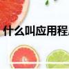 什么叫應用程序和軟件（什么叫應用程序域）