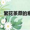 繁花荼蘼的意思（荼蘼花間惹塵埃是什么意思）