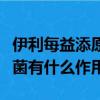 伊利每益添原味乳酸菌（伊利每益添活性乳酸菌有什么作用）