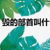 毀的部首叫什么偏旁（毀的部首叫什么偏旁）