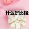 什么是比格犬（什么是比格犬(Beagle)）