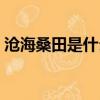滄海桑田是什么含義（滄海桑田是什么生肖）