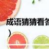成語猜猜看答案大全集（成語猜猜看答案大全）