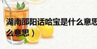 湖南邵陽話哈寶是什么意思(湖南方言哈寶什么意思)