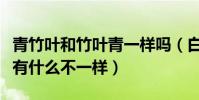 青竹葉和竹葉青一樣嗎(白唇竹葉青與竹葉青有什么不一樣)