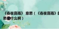 《春夜喜雨》 意思(《春夜喜雨》的意思《春夜喜雨》的意思是什么啊)