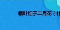 霜葉紅于二月花(什么意思)
