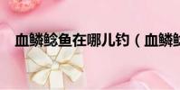 血鱗鯰魚在哪兒釣(血鱗鯰魚在哪里釣?)