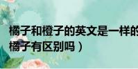 橘子和橙子的英文是一樣的嗎(橙子的英文和橘子有區別嗎)