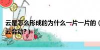 云是怎么形成的為什么一片一片的(云是怎么形成的,為什么云會動?)
