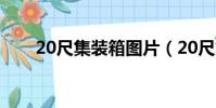 20尺集裝箱圖片(20尺集裝箱體積)