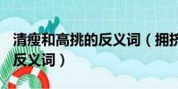 清瘦和高挑的反義詞(擁擠,驚慌,清瘦,放肆的反義詞)