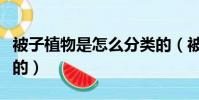 被子植物是怎么分類的(被子植物是怎么分類的)