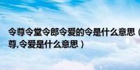 令尊令堂令郎令愛的令是什么意思(令堂,令郎,犬子,舍妹,令尊,令愛是什么意思)