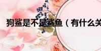 狗鯊是不是鯊魚(有什么關于狗鯊的資料)