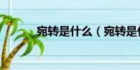 宛轉是什么(宛轉是什么意思)