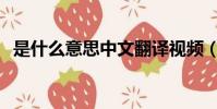 是什么意思中文翻譯視頻(@是什么意思)
