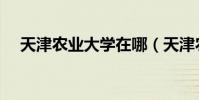 天津農業大學在哪(天津農業大學在哪)