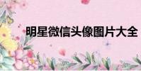 明星微信頭像圖片大全(明星微信)
