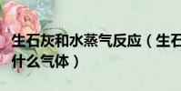 生石灰和水蒸氣反應(生石灰和水反應會生成什么氣體)