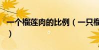一個榴蓮肉的比例(一只榴蓮中肉占多大比例)