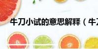 牛刀小試的意思解釋(牛刀小試的意思)