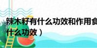 辣木籽有什么功效和作用食用方法(辣木籽有什么功效)