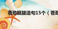 蒼勁挺拔造句15個(蒼勁挺拔的意思)