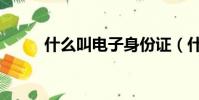 什么叫電子身份證(什么叫電匯)