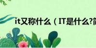 it又稱什么(IT是什么?簡稱是什么?)