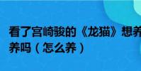 看了宮崎駿的《龍貓》想養一只龍貓做寵物好養嗎(怎么養)