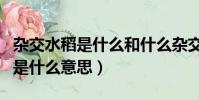 雜交水稻是什么和什么雜交而成的(雜交水稻是什么意思)