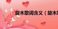 旋木歌詞含義(旋木歌詞全文)
