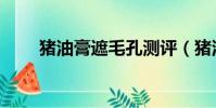 豬油膏遮毛孔測評(豬油膏怎么用)
