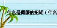 什么是伺服的扭矩(什么是伺服馬達?)