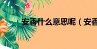 安香什么意思呢(安香什么意思)