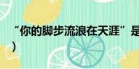 “你的腳步流浪在天涯”是什么歌(原唱是誰)