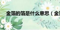 金箔的箔是什么意思(金箔是指什么啊)