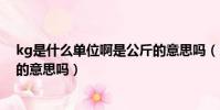 kg是什么單位啊是公斤的意思嗎(kg是什么單位啊是公斤的意思嗎)